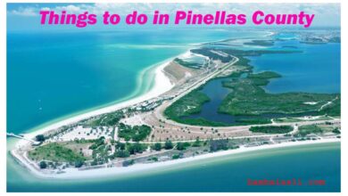 Things to do in Pinellas County