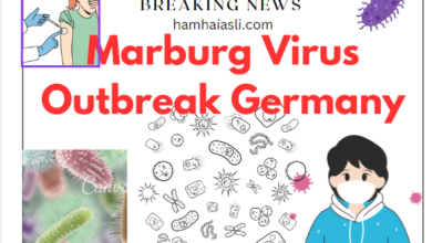 marburg virus outbreak germany